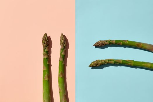 Four green raw asparagus stalks on blue and pink background. Concept of healthy nutrition, food and seasonal vegetables harvest. Close up, copy space. Flat lay, top view