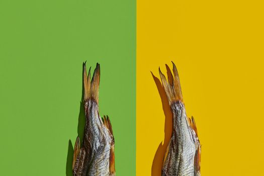 Two dried or jerky salted taranka tails, palatable clipfish isolated on yellow and green background. Popular beer appetizer. Traditional way of preserving fish. Close up, copy space, top view