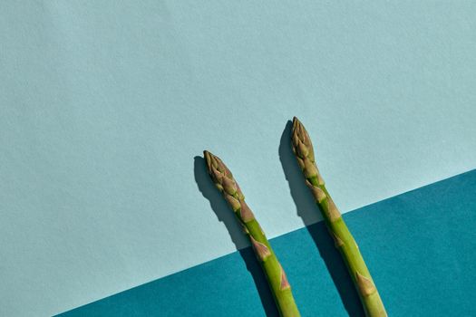 Two fresh organic asparagus stems on colorful background. Concept of healthy food and crop of delicious vegetables. Close up, copy space. Flat lay, top view