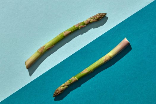 Two green asparagus spears on colorful background. Concept of healthy food and crop of spring vegetables. Close up, copy space. Flat lay, top view