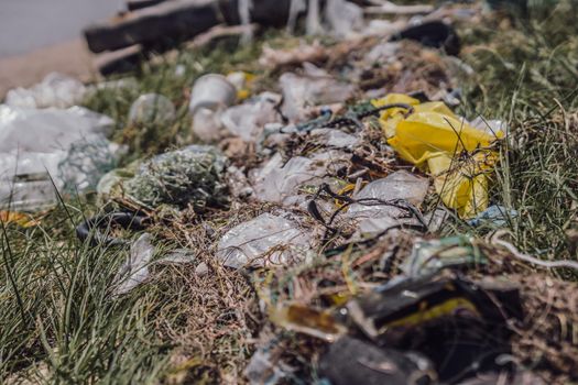 Real nature life climate crisis, land near forest park pollution. Dirty ground, throwing outdoor plastic litter waste, need environmental protection. Problem of garbage caused by man made.