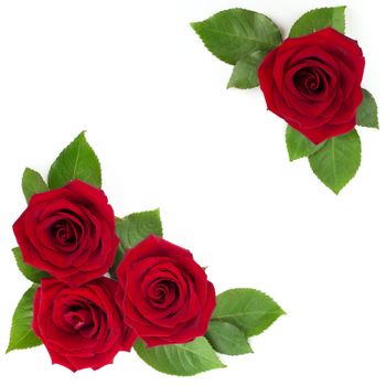 Red rose flowers and leaves arrangement corner border frame design element isolated on white background, top view, Valentines day decoration