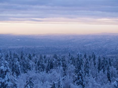 Snow-covered trees in winter at sunset in the foothills of the Ural mountains
