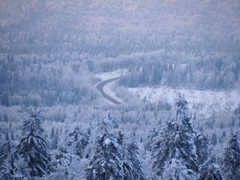 Snow-covered road among snow-covered trees in the winter Ural forest
