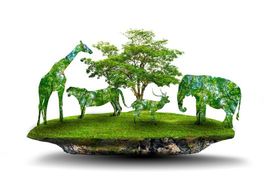 World Wildlife Day forest silhouette in the shape of a wild animal wildlife and forest conservation concept