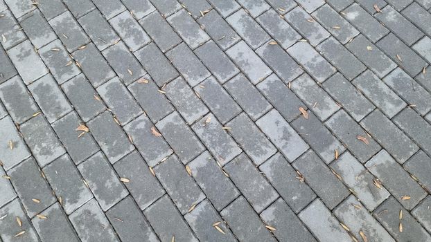 Gray wet paving slabs covered with fine yellow foliage in autumn. View from above. City sidewalk