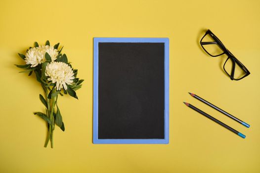 Top view. Flat lay composition from arranged aster flowers next to a chalkboard with copy space , eyeglasses and two pencils, isolated on yellow background