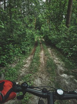 View of an overgrown path in the forest through the eyes of a cyclist. Cycling, bicycle cyclist, discover nature. Concepts
