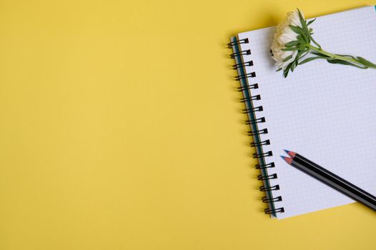 Flat lay composition with autumn aster flower and a color pencil on an organizer notepad with blank white sheets , isolated on yellow background with copy space