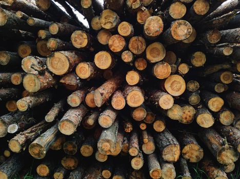 Natural wooden background of pile of raw wood logs. Close-up of chopped firewood. Stacked firewood. Timber background. Nature, environment ecology concept.
