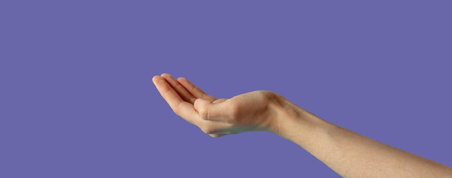 The hand is extended palm up.The hand is open and ready to help or accept. A gesture highlighted on a lilac background by a clipping contour. Very peri.