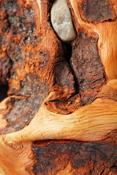 Textured curved Wooden snag of brown color with texture on a black background. Decorative wooden element, close-up, minimalism.