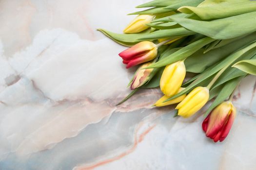 Fresh pink tulip flowers on stone table. Top view with copy space