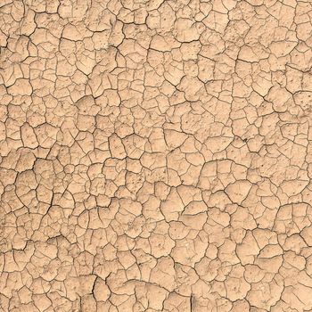 The dry earth is light brown in color. Cracked ground background.