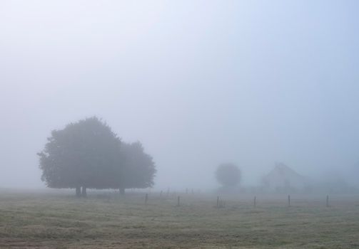 meadows with tree and house in early morning summer fog in the countryside of regional park boucles de la seine in french normandy