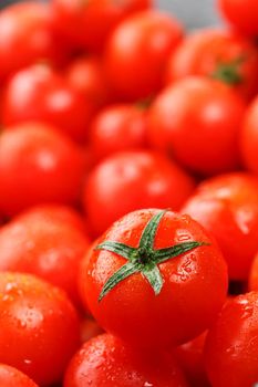 Lots of fresh ripe tomatoes with drops of dew. Close-up background with texture of red hearts with green tails. Fresh cherry tomatoes with green leaves. Background red tomatoes. Group of juicy ripe fruit.