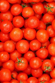 Fresh cherry tomatoes with green leaves. Background red tomatoes. A group of juicy ripe fruits.