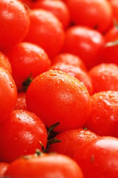 Ripe red tomatoes, with drops of dew. Close-up background with texture of red hearts with green tails. Fresh cherry tomatoes with green leaves. Group of juicy ripe fruit.