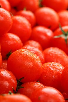 Lots of fresh ripe tomatoes with drops of dew. Close-up background with texture of red hearts with green tails. Fresh cherry tomatoes with green leaves. Background red tomatoes. Group of juicy ripe fruit.