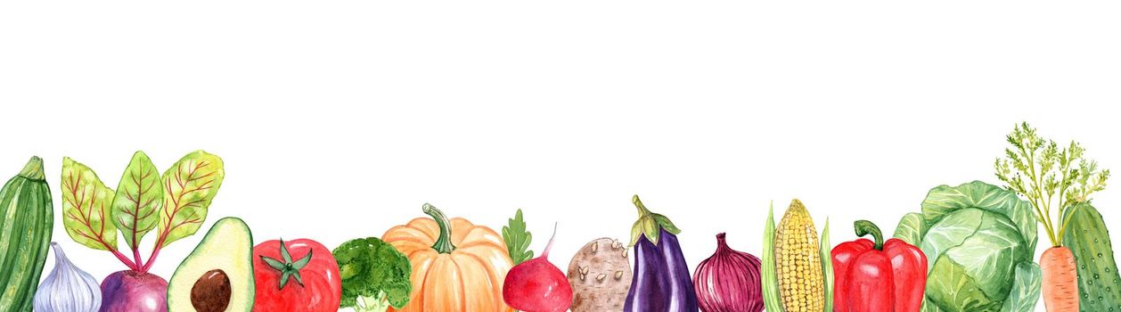 Watercolor various vegetables banner isolated on white background. Hand drawn agricultures for menu design, kitchen decor, cooking book recipes