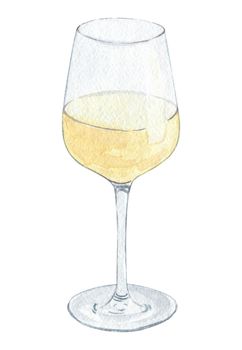 watercolor hand drawn white wine glass isolated on white background