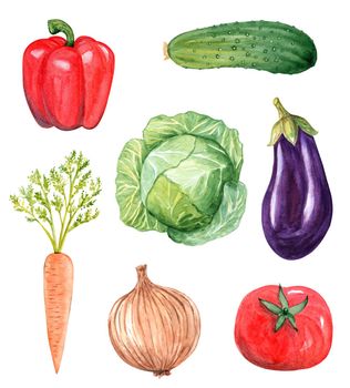 Watercolor hand drawn vegetables set isolated on white background. Pepper, cucumber, cabbage, eggplant, carrot, onion, tomato illustrations