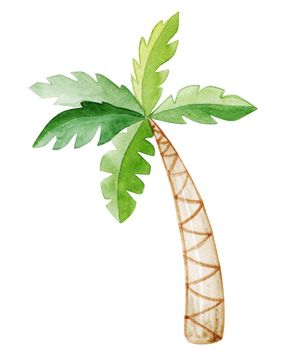 watercolor palm tree isolated on white background. Hand drawn tropical illustration