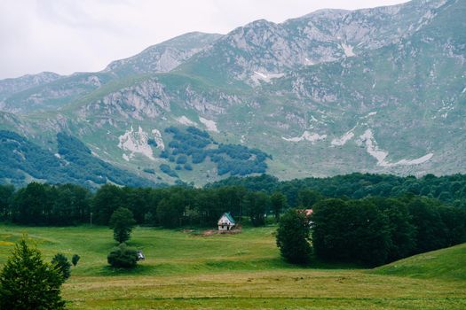 House in the highlands in the north of Montenegro surrounded by trees. High quality photo