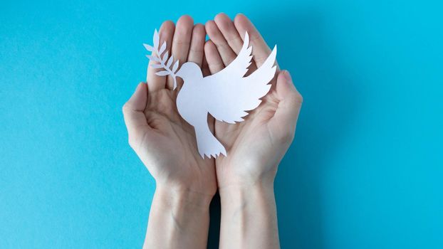 Hands holding a paper white pigeon on a blue background. World Peace Day. World Science Day for Peace and Development