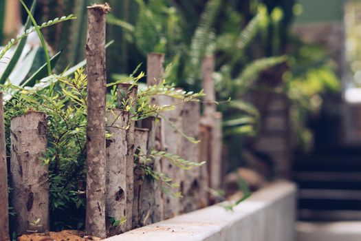 Vintage bright nature background. Fence flower bed greenery, thin trunks. Decorative logs wall, modern design landscape house territory, path forward way, pedestrian sidewalk. Blur defocus stairs.