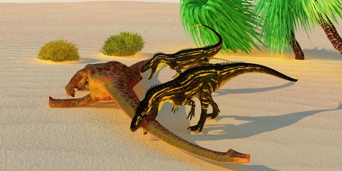 Two carnivorous Torvosaurus bring down a Diplodocus dinosaur during the Jurassic Age of North America.