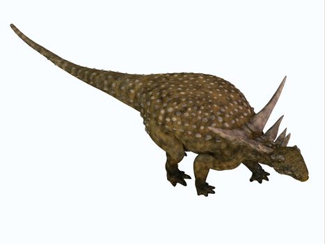 Sauropelta was an armored herbivore nodosaur dinosaur that lived in North America during the Cretaceous Period.