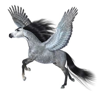 A beautiful silver dappled Pegasus stallion takes off for the sky on magical wings.