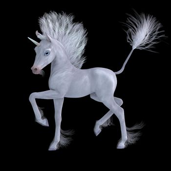 A little white colt unicorn famous as a legendary creature with magical abilities.