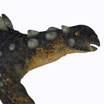 Euoplocephalus was an Ankylosaur armored dinosaur that lived in Alberta, Canada during the Cretaceous Period.