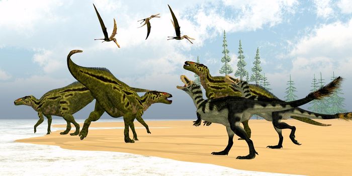 Two Alioramus theropod dinosaurs confront a herd of Shantungosaurus herbivores as Anhanguera pterosaurs fly over.