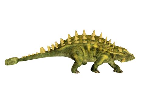 Talarurus was an armored Ankylosaur dinosaur that lived in Mongolia during the Cretaceous Period.