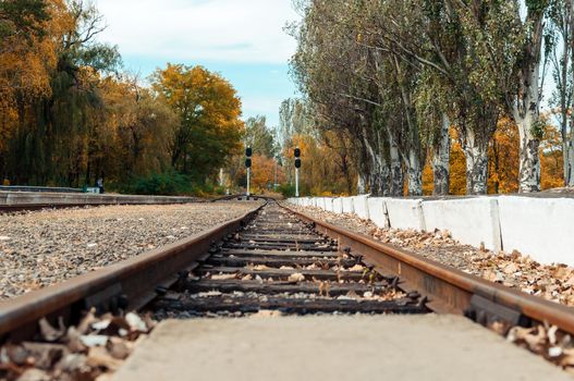 Autumn sunny landscape. Railroad in the park. Autumn park of trees and fallen leaves on the ground in the park on a sunny October day. Template for design. Copy space.