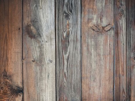 Old burnt wood board. Barn wood background with copy space.