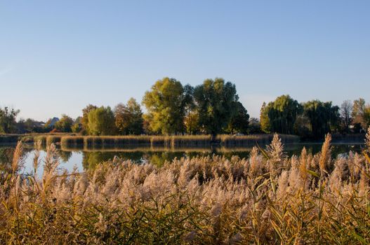 Autumn landscape on the lake. The rural sky of nature river clouds landscape and dry yellow reeds. Riverbank nature. Rural river landscape.