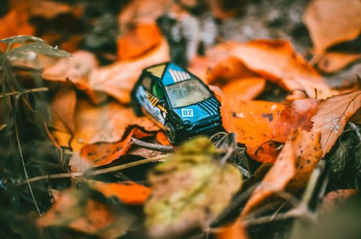 toy car is standing in the leaves in the forest. metal sports car in the fall on the ground early in the morning. Warm autumn landscape.