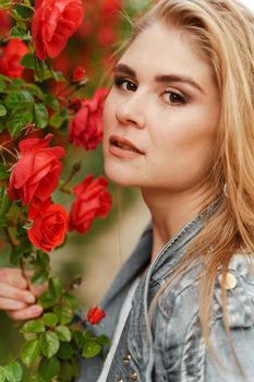 A cute blonde stands near a bush with red roses. Attractive European woman in a denim jacket