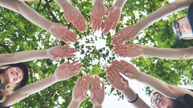 A group of girls make a circle with their palms against the background of tree branches