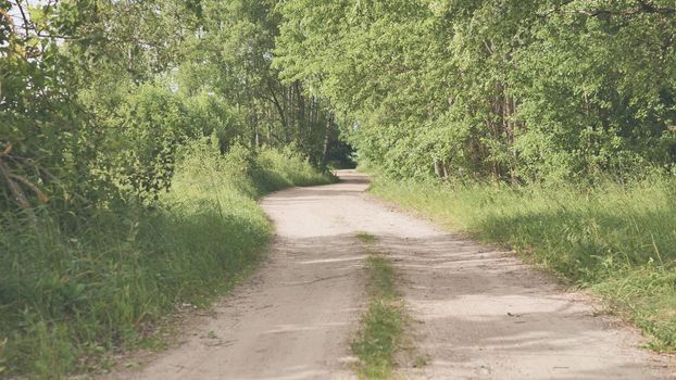 Driving along the village road near the forest