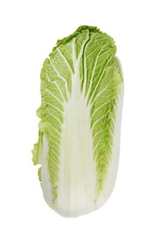 Fresh chinese cabbage isolated on a white background