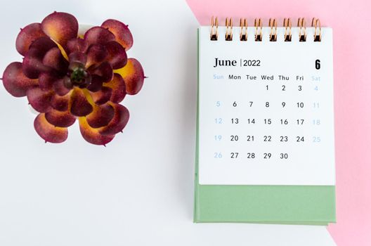The June 2022 desk calendar with tree pot.