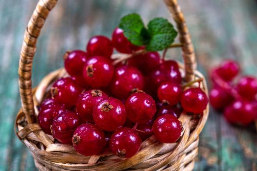 Gooseberries in a small pannier