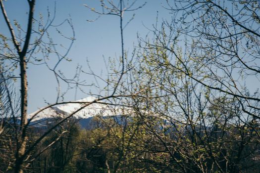 Snow-capped mountain on the horizon, dense forest and mountains. High quality photo