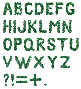 ABC, the alphabet of red, dark pink and green flower petals. alphabet of petals of peonies. letters and symbols.