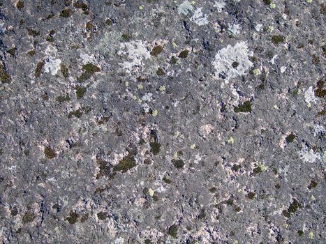 Texture of old natural mossy stone. Beautiful stone surface, dirty rock covered with lichen and moss for natural background